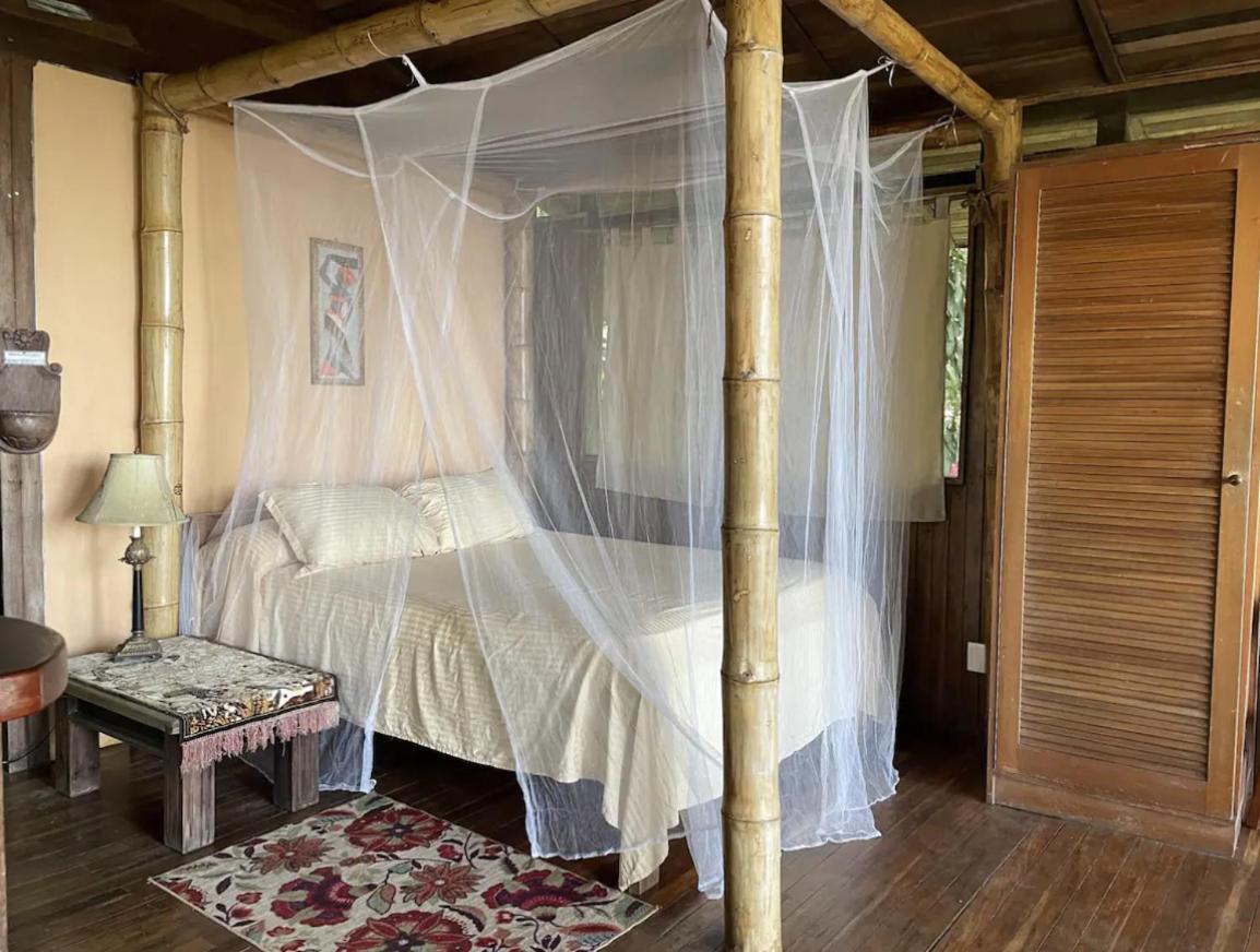 Beautiful Rustic Treehouse Hotel Manuel Antonio Quepos Eksteriør bilde
