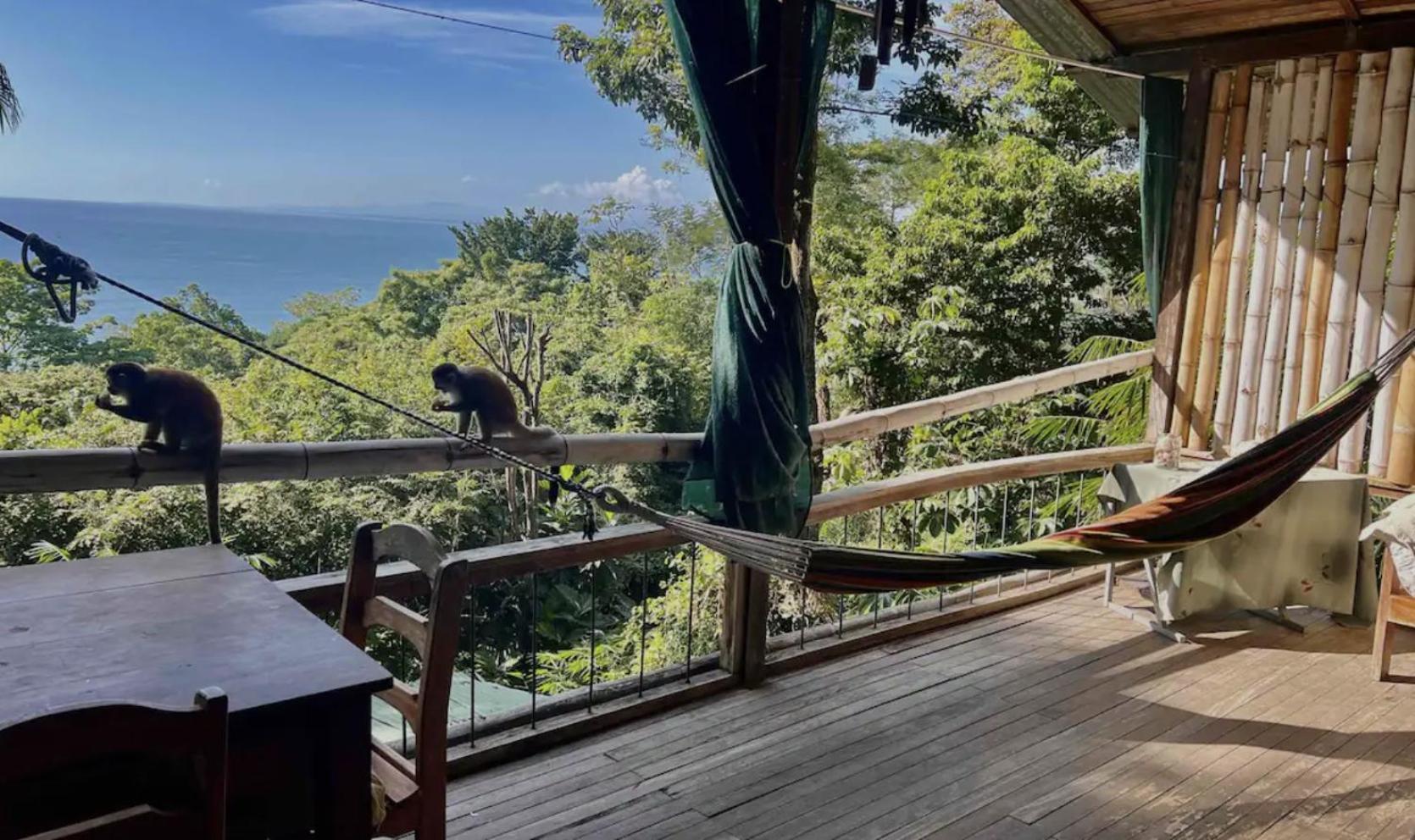 Beautiful Rustic Treehouse Hotel Manuel Antonio Quepos Eksteriør bilde